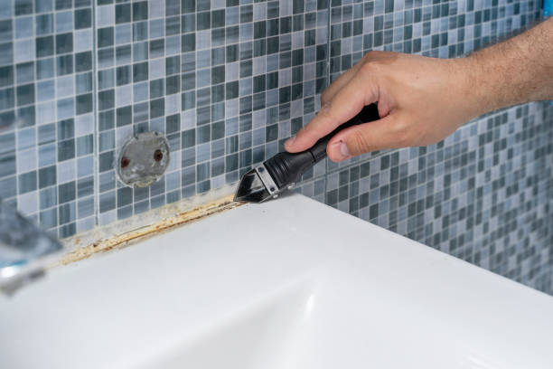 Best White Mold Remediation in Fern Prairie, WA