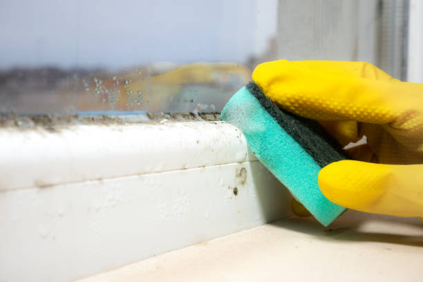 HVAC Mold Remediation